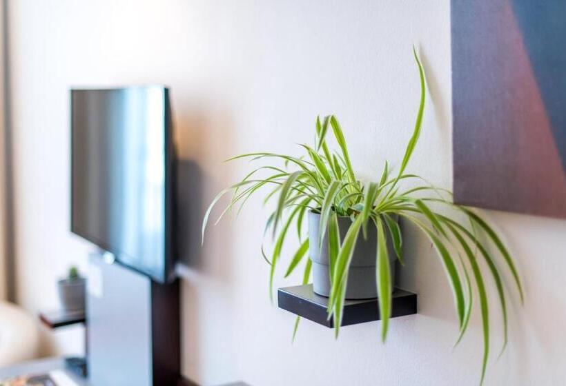 هتل Stein   Schiller S Manufaktur