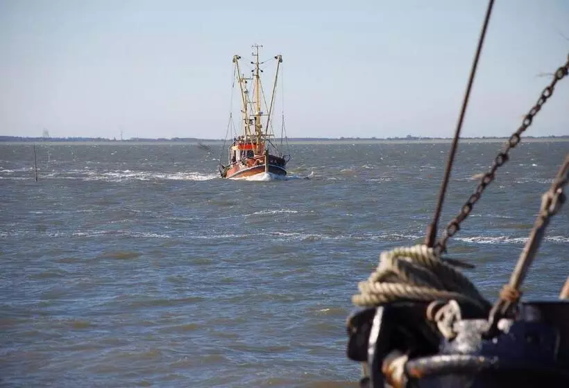 Strandhotel Dagebüll Direkt An Der Nordsee