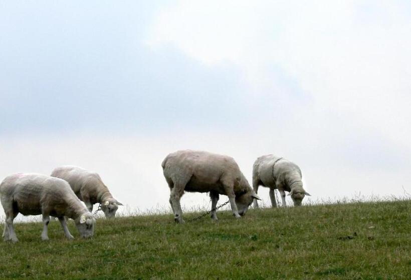 Strandhotel Dagebüll Direkt An Der Nordsee