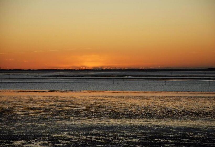 Strandhotel Dagebüll Direkt An Der Nordsee