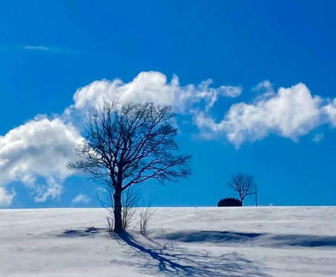 Landhotel Flora & Fauna