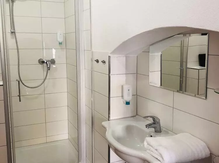 Hotelli Zum Handtuch