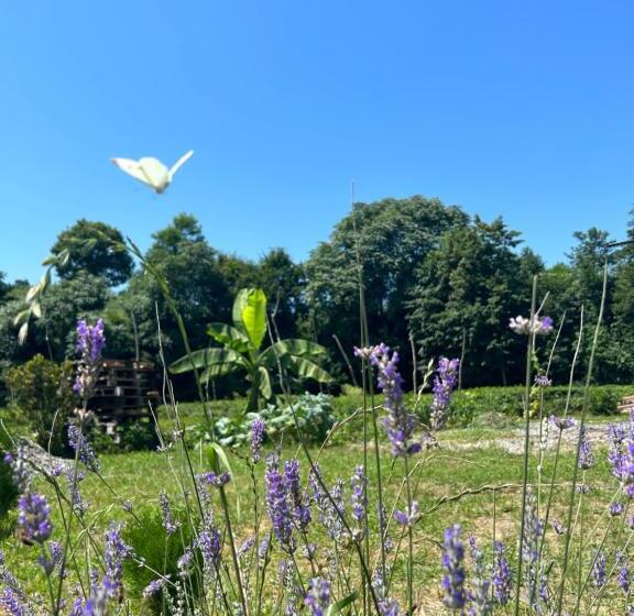 فندق My World Bungalov