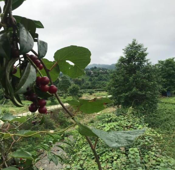 酒店 My World Bungalov