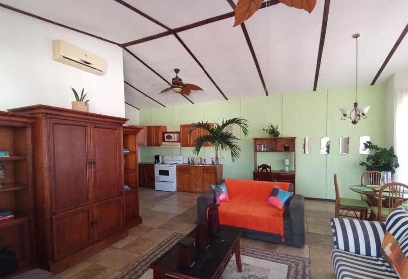 Nirvana Apartament Hostal