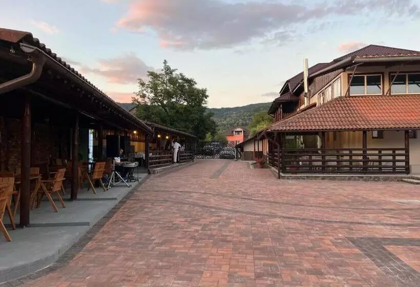 ペンション Hanul Marioarei