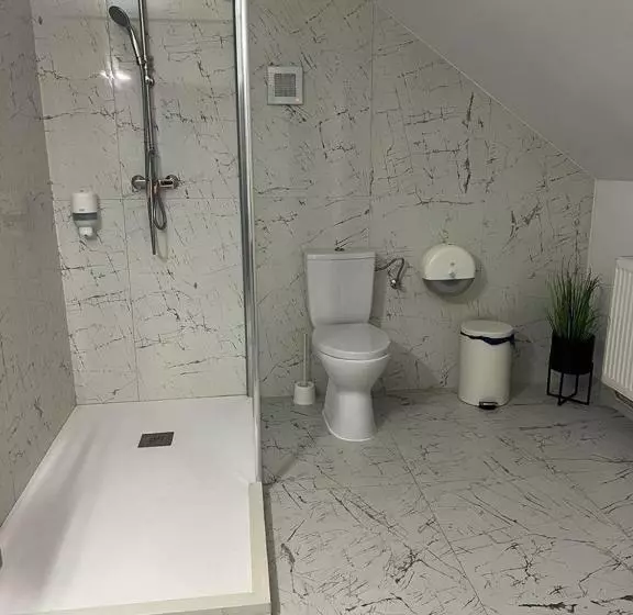 ペンション Hanul Marioarei