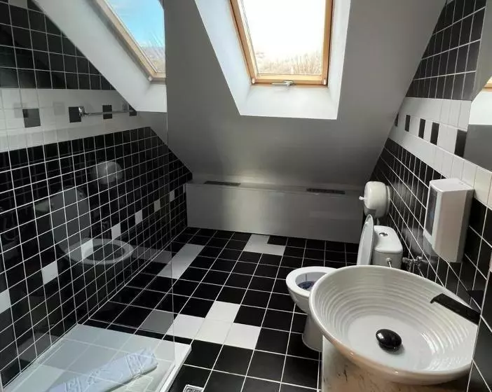 ペンション Hanul Marioarei