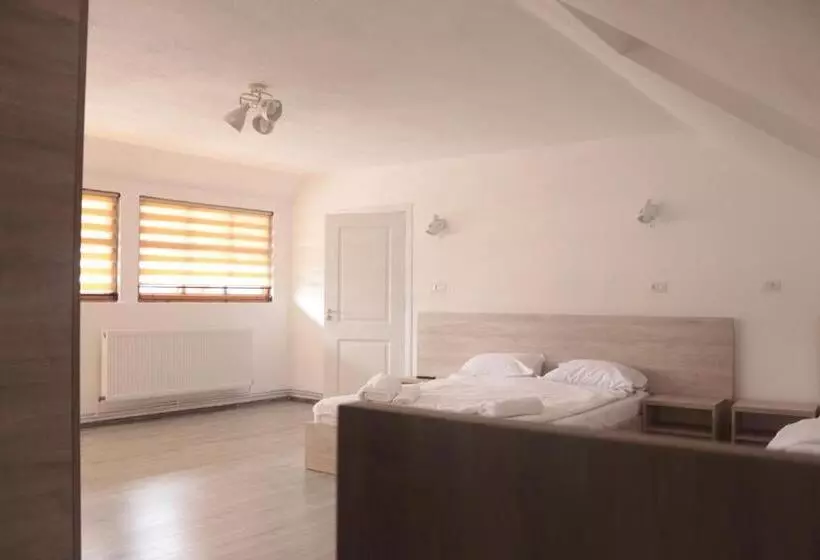 ペンション Hanul Marioarei