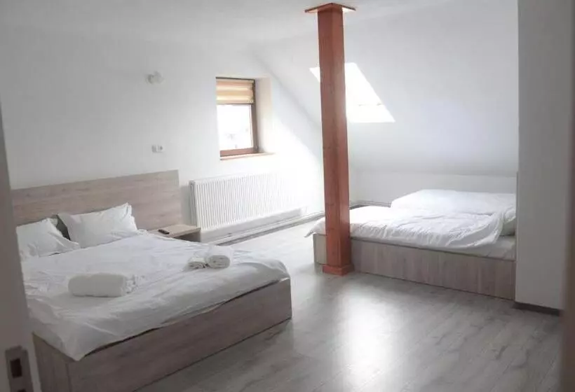 ペンション Hanul Marioarei