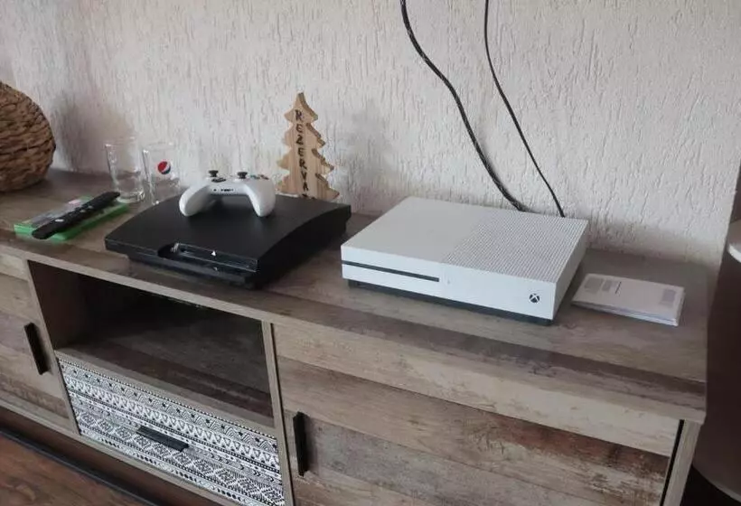 ペンション Hanul Marioarei