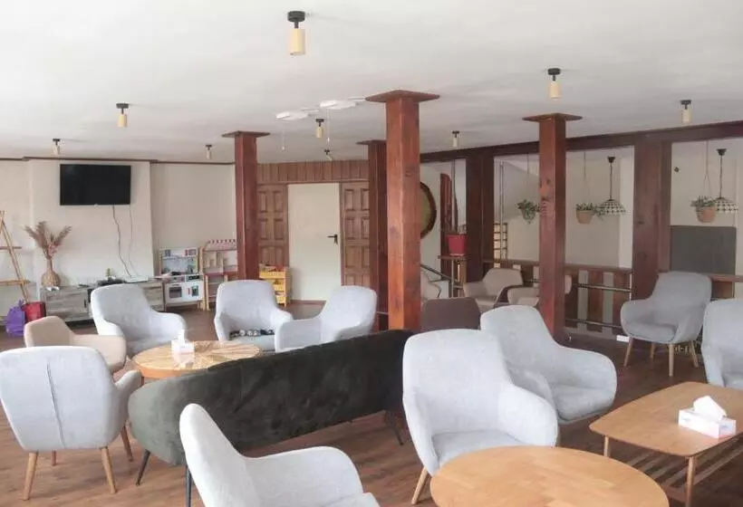 ペンション Hanul Marioarei