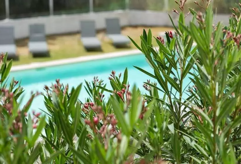 Soko Hotels Pont Du Gard