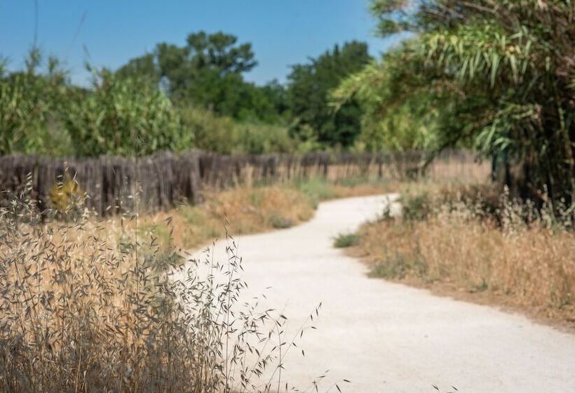 Soko Hotels Pont Du Gard
