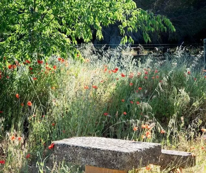 Soko Hotels Pont Du Gard