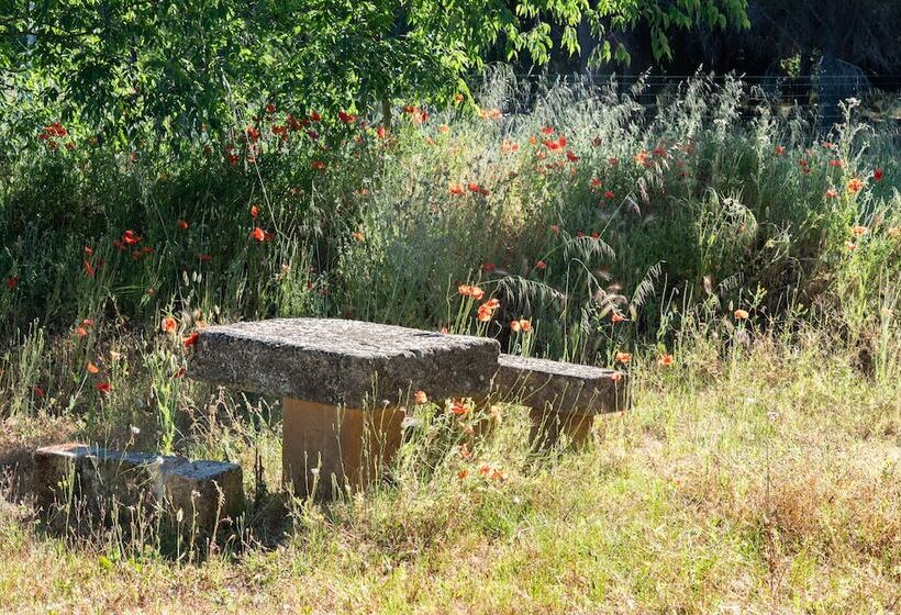 Soko Hotels Pont Du Gard