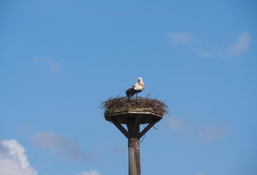 酒店 Hofgut Schmitte