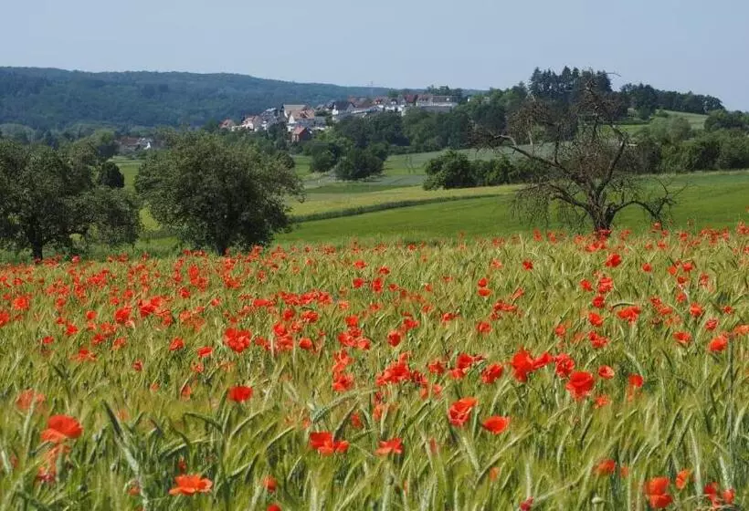 Hotelli Hofgut Schmitte