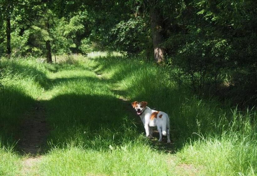 酒店 Hofgut Schmitte