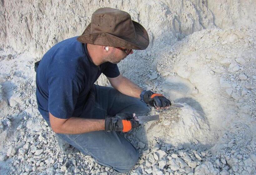 Hotelli Our Heritage Guest Ranch