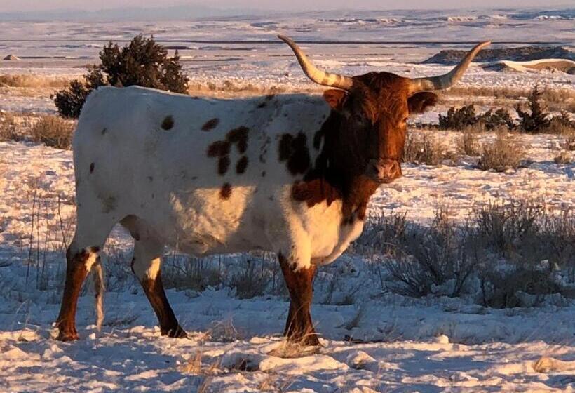 Hotelli Our Heritage Guest Ranch