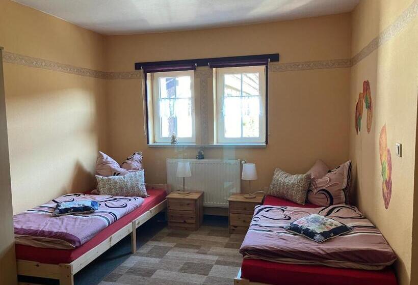 Pansiyon Doppelzimmer Vom Friesenhof Wieratal