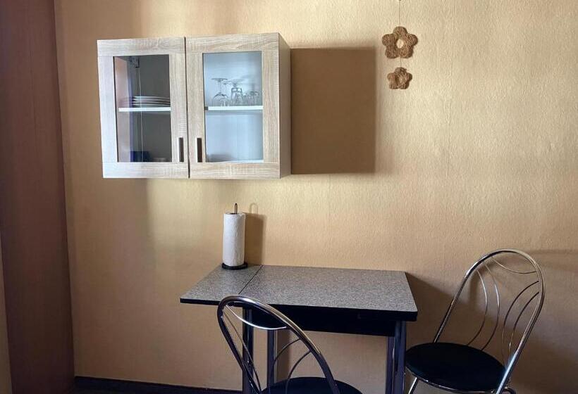 Pansiyon Doppelzimmer Vom Friesenhof Wieratal