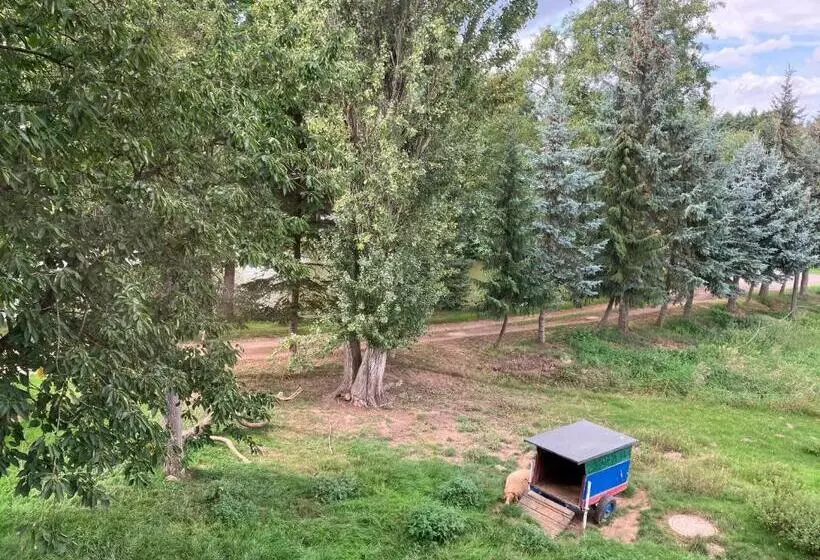 Majatalo Doppelzimmer Vom Friesenhof Wieratal