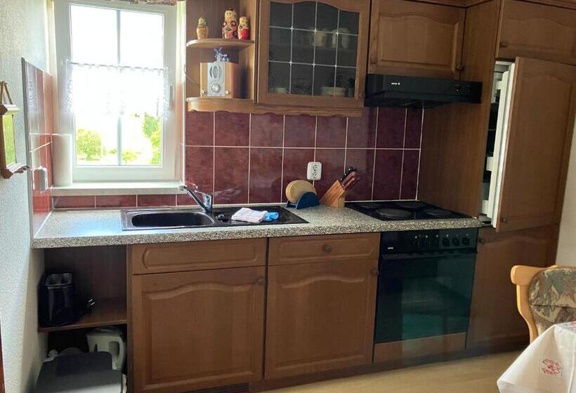 Pansiyon Doppelzimmer Vom Friesenhof Wieratal