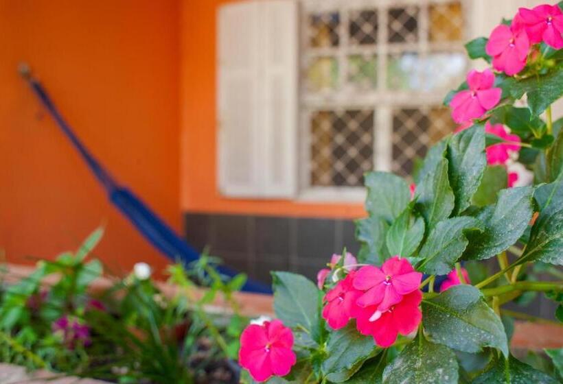 ユースホステル Pousada Chácara Maria Da Graça