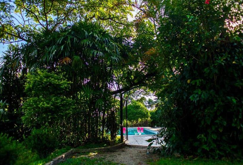 ユースホステル Pousada Chácara Maria Da Graça