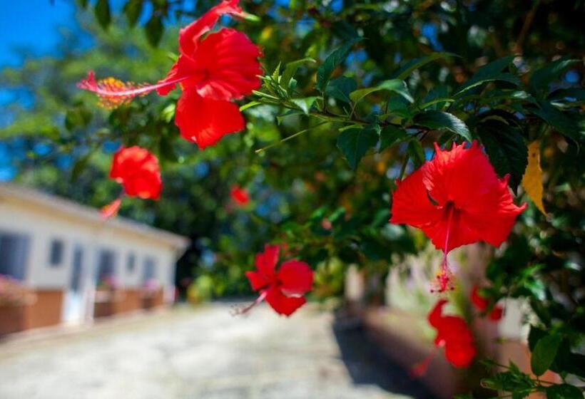 ユースホステル Pousada Chácara Maria Da Graça