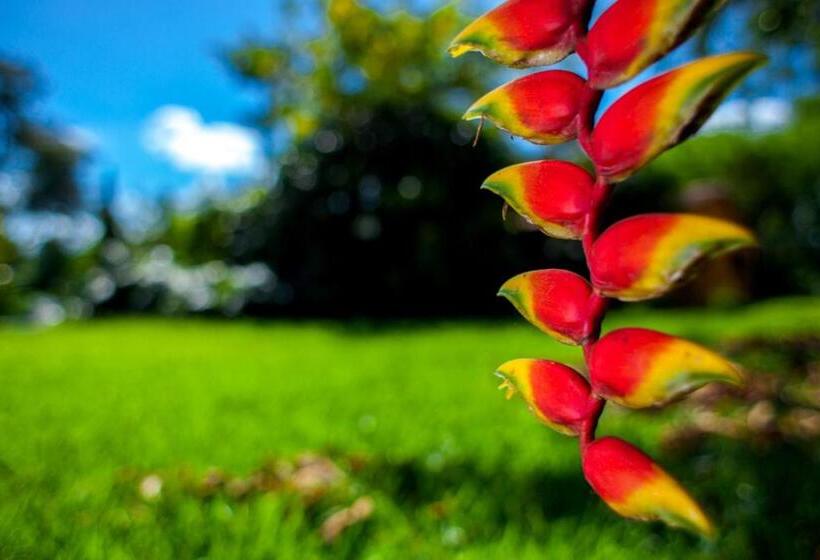 ユースホステル Pousada Chácara Maria Da Graça