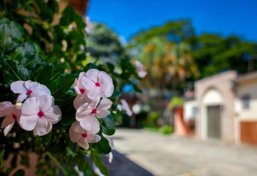ユースホステル Pousada Chácara Maria Da Graça