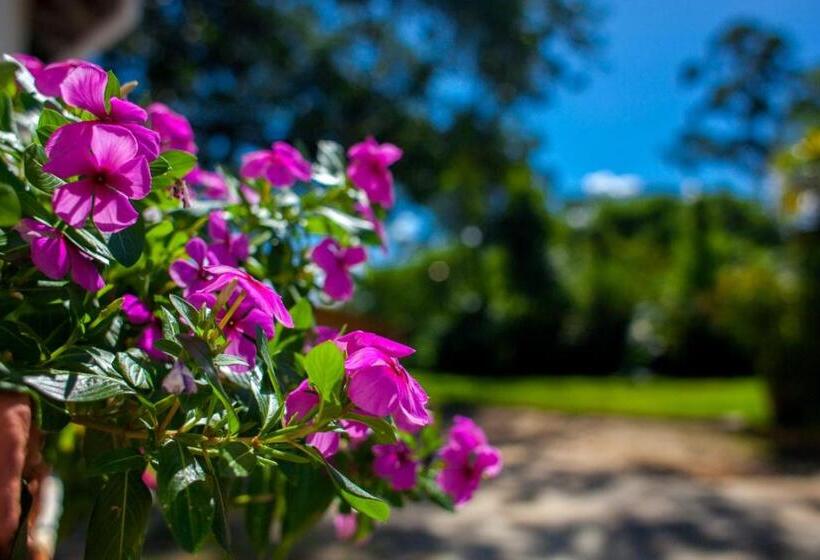 ユースホステル Pousada Chácara Maria Da Graça