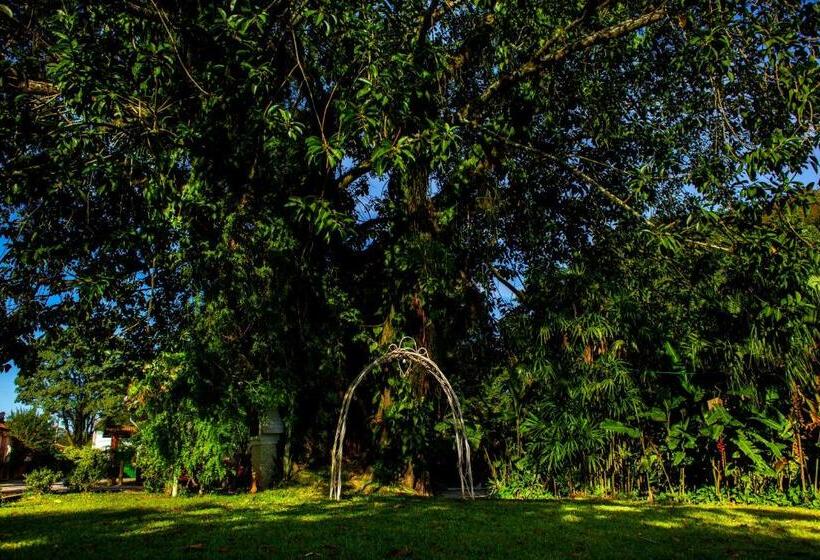 ユースホステル Pousada Chácara Maria Da Graça