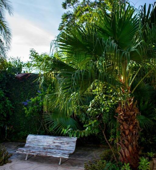 ユースホステル Pousada Chácara Maria Da Graça