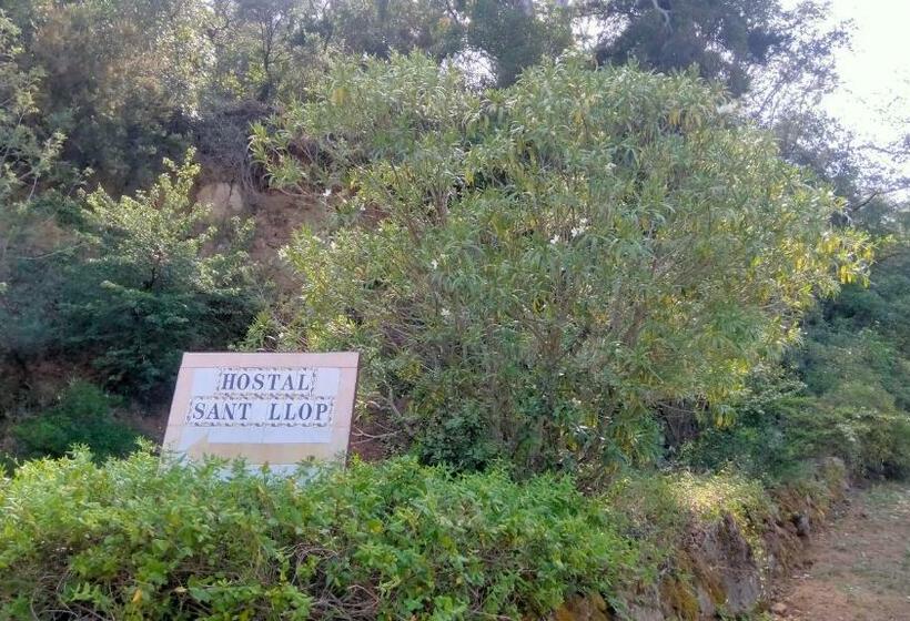 ユースホステル Rural Sant Llop