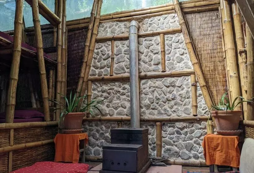 ユースホステル Tieedi Forest Dwelling