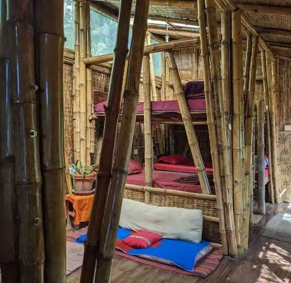 ユースホステル Tieedi Forest Dwelling