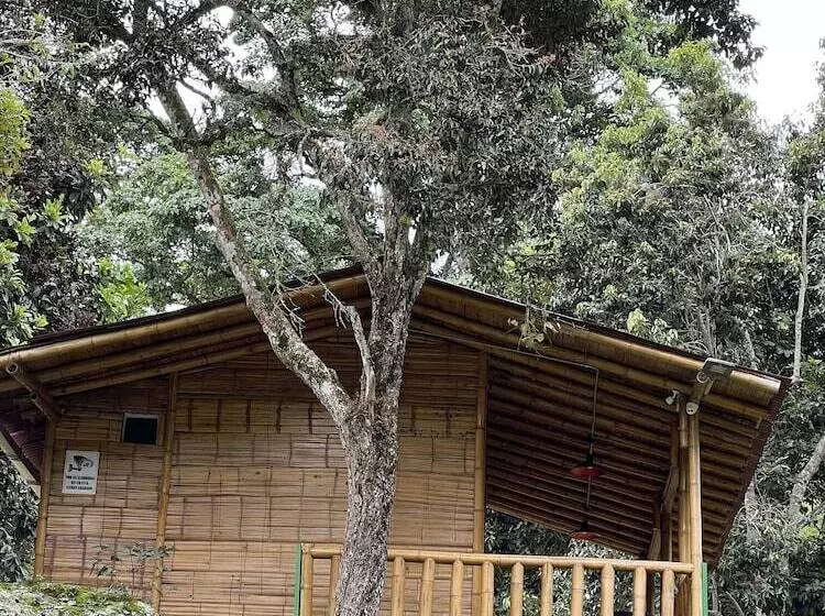 ホテル Ilusión Ecoparque