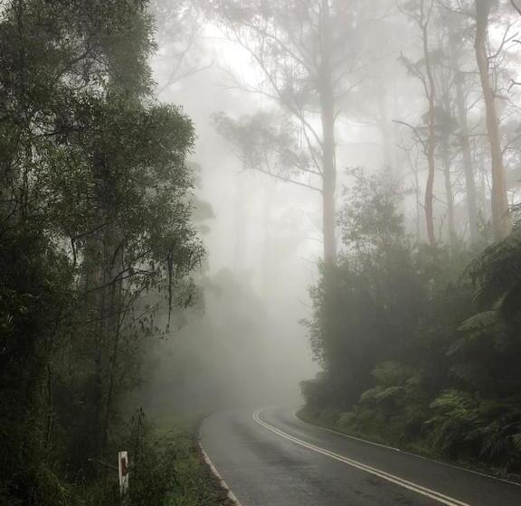 פנסיון Entire Guesthouse