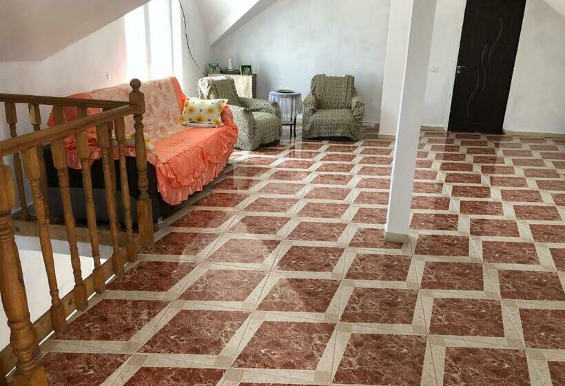 Пансион Vila Siminica