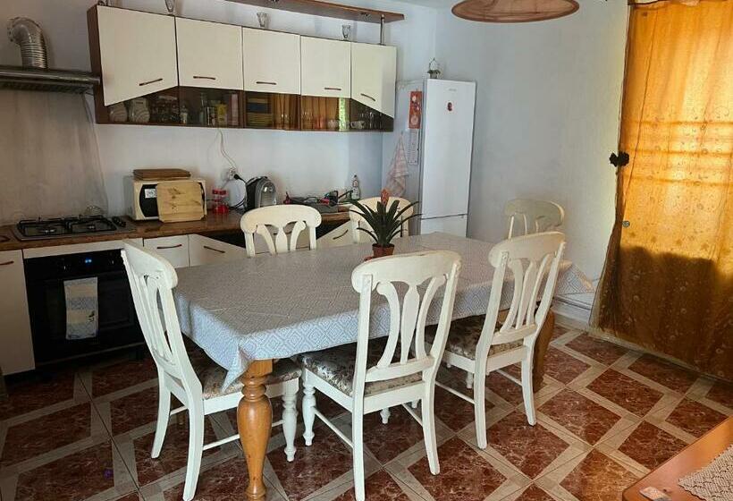 Пансион Vila Siminica