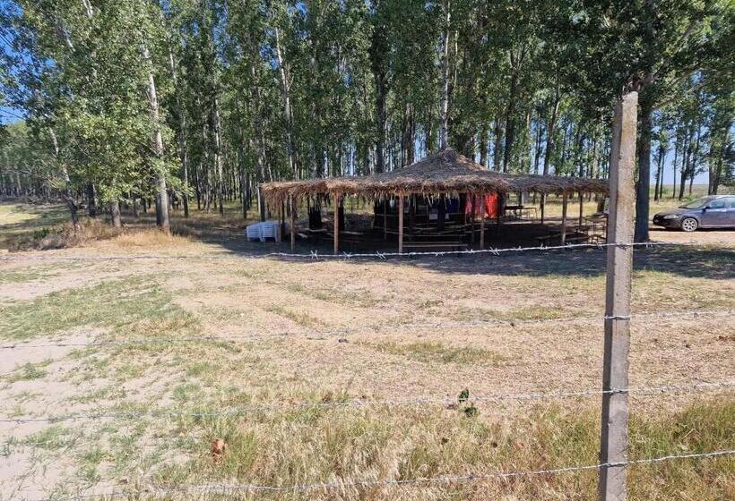 Пансион Vila Siminica