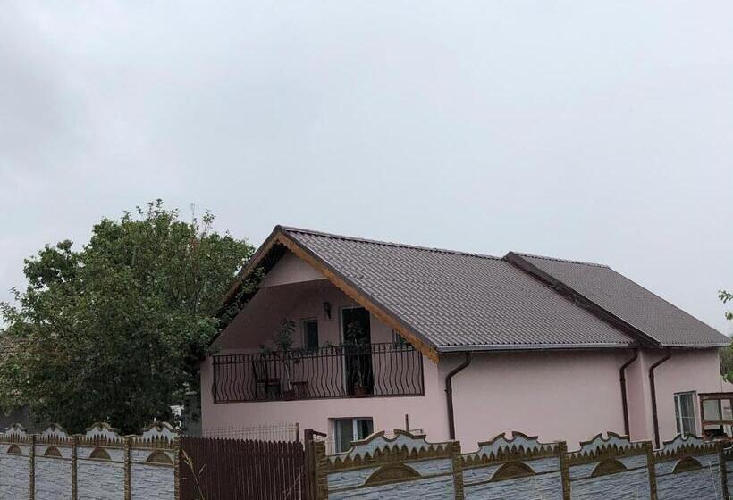 Пансион Vila Siminica