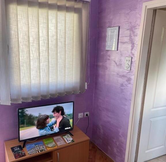 هاستل Banja Gornja Trepca Smestaj Grof