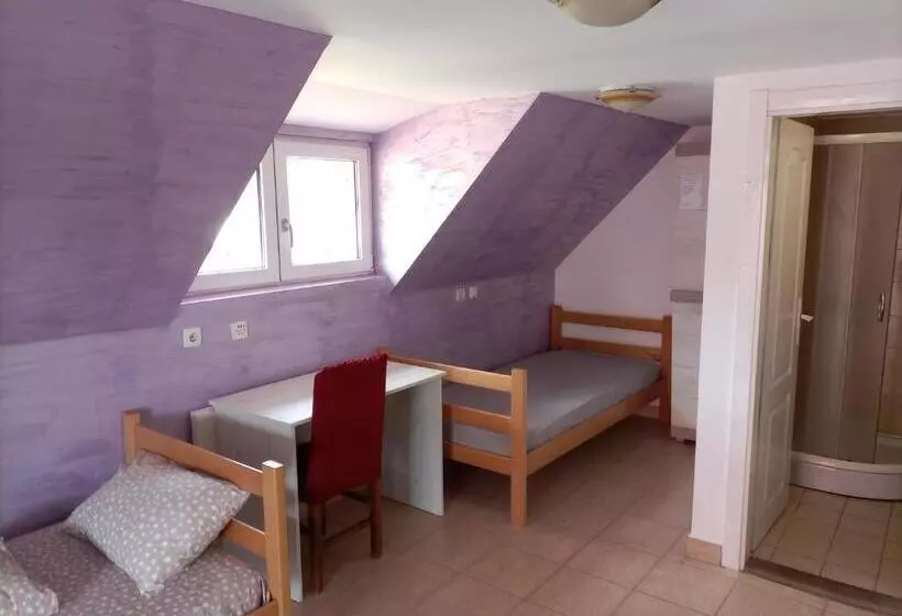 هاستل Banja Gornja Trepca Smestaj Grof
