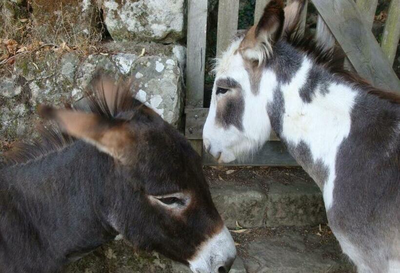 צימר Le Hameau De Robert