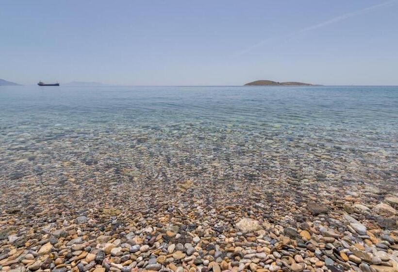 Karia Hotel Palamutbükü